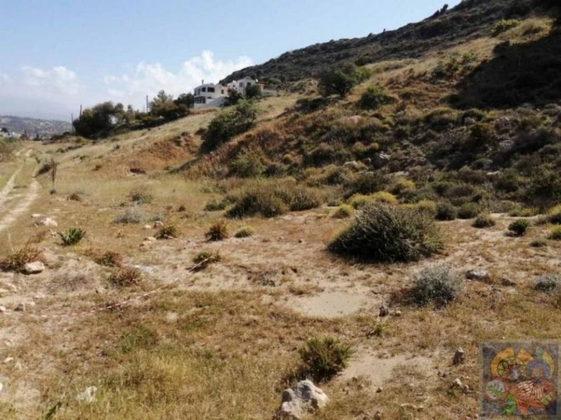 Pitsidia, Süd Kreta Pitsidia, Baugrundstück ca. 2337m² mit Meer- und Bergblick Grundstück kaufen